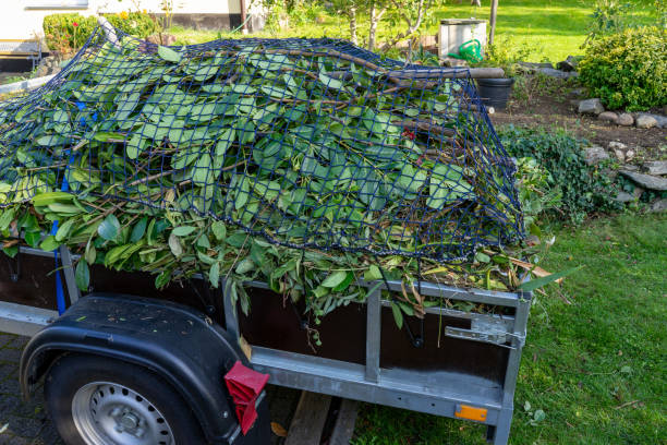 Best Dumpster Rental Services  in Portland, MI